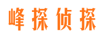 通海寻人公司